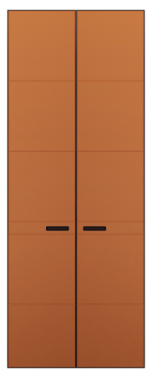 Leather Door Panel Wardrobe