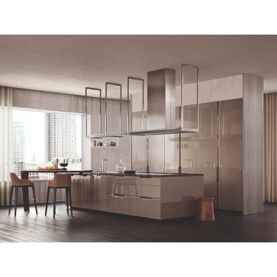 Champagne Solid Wood Lacquer Kitchen Cabinets