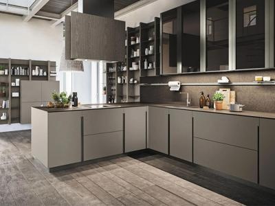 Matte Dark Simple Handle Cabinets