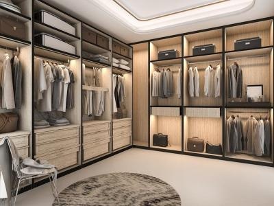 Nice Solid Wood Colour Walk-in Wardrobe