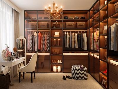 Modern Style Minimalist Wardrobe